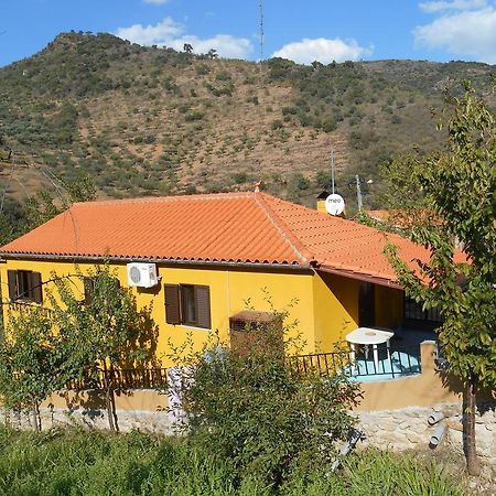 Quinta do SoutoCasa Do Souto别墅 外观 照片