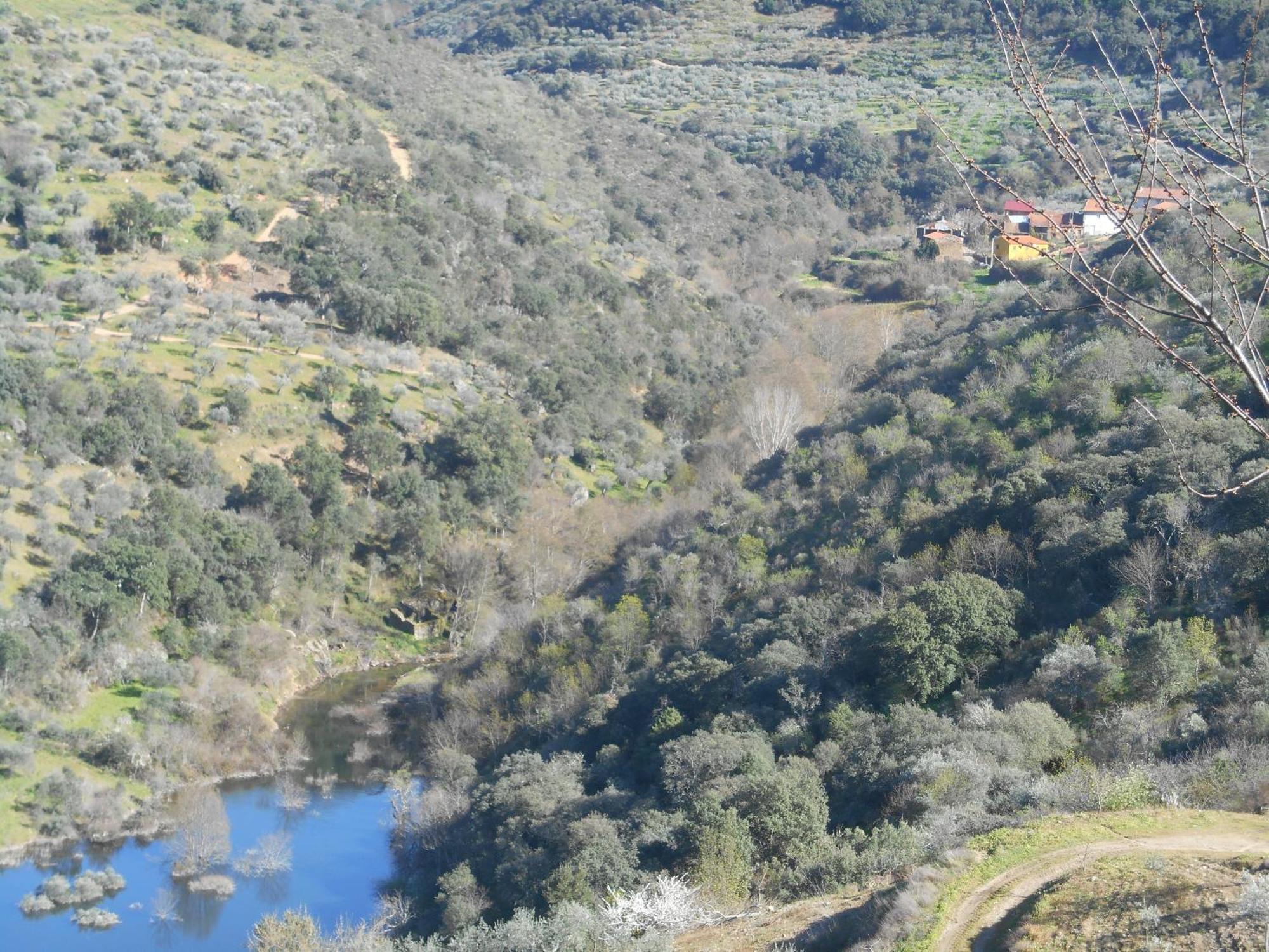 Quinta do SoutoCasa Do Souto别墅 外观 照片