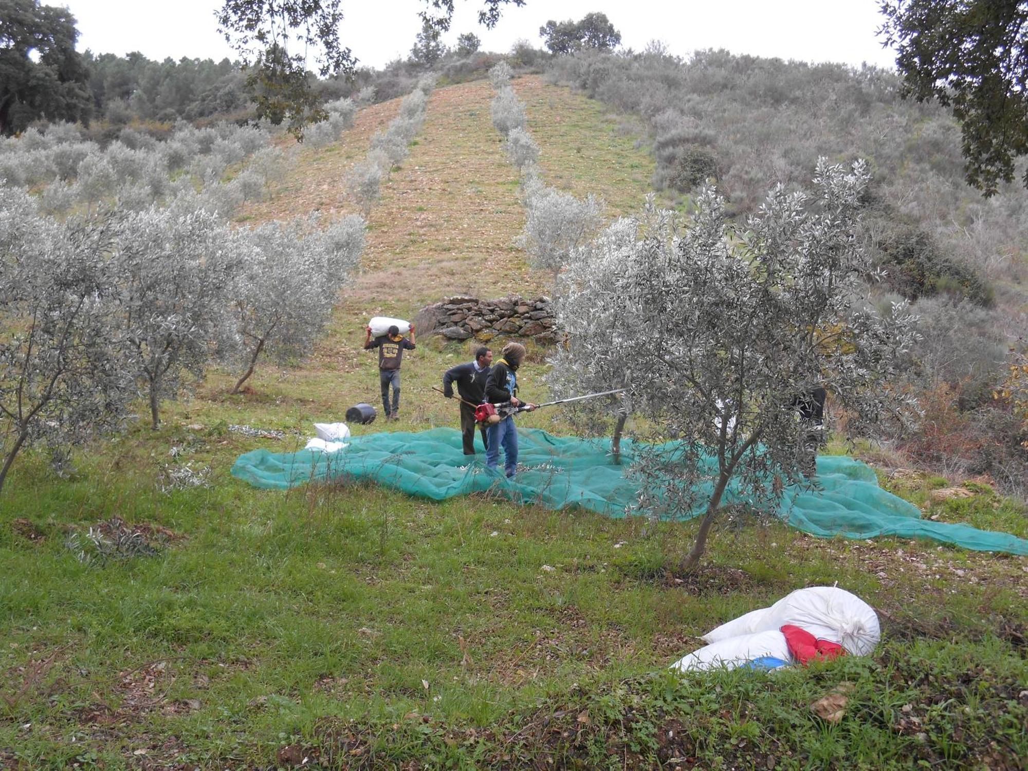 Quinta do SoutoCasa Do Souto别墅 外观 照片