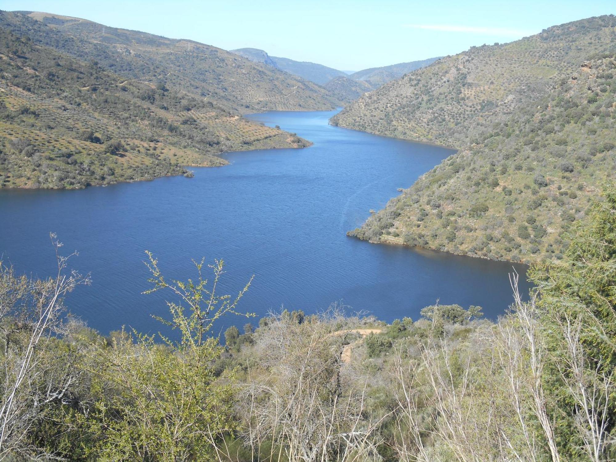 Quinta do SoutoCasa Do Souto别墅 外观 照片