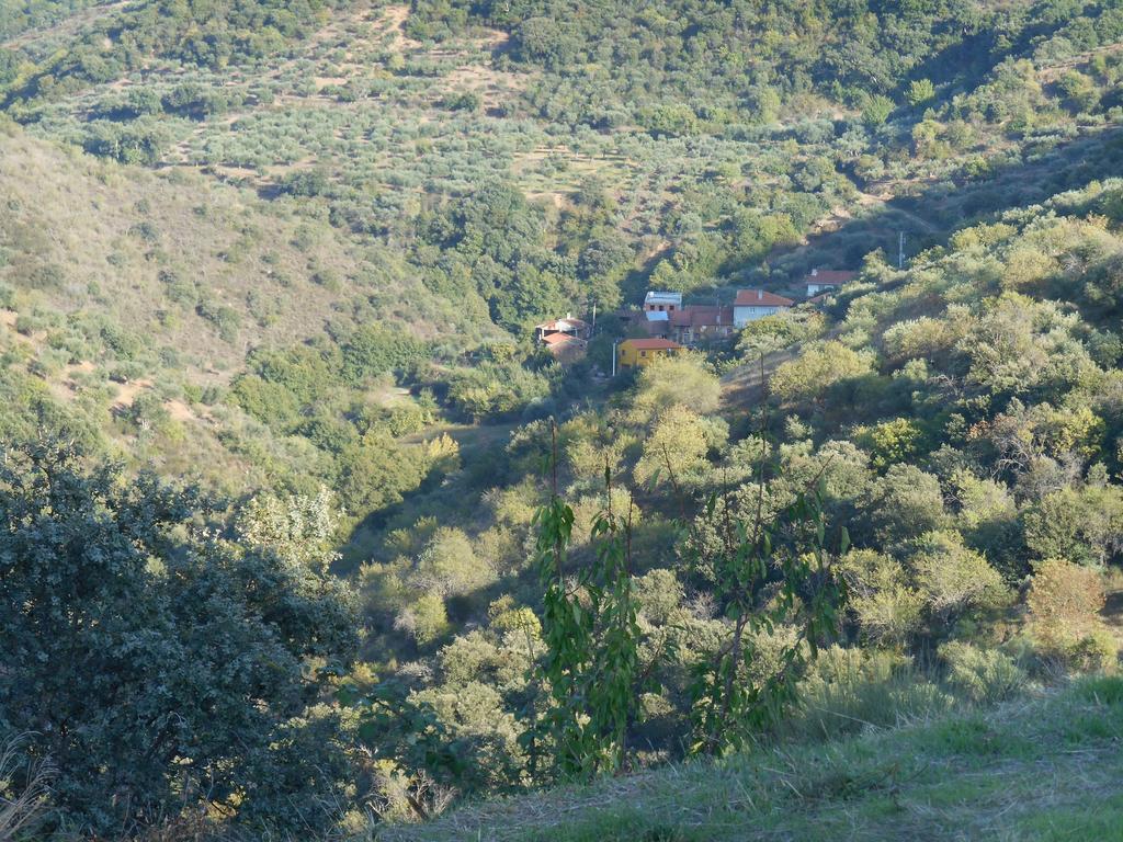 Quinta do SoutoCasa Do Souto别墅 外观 照片